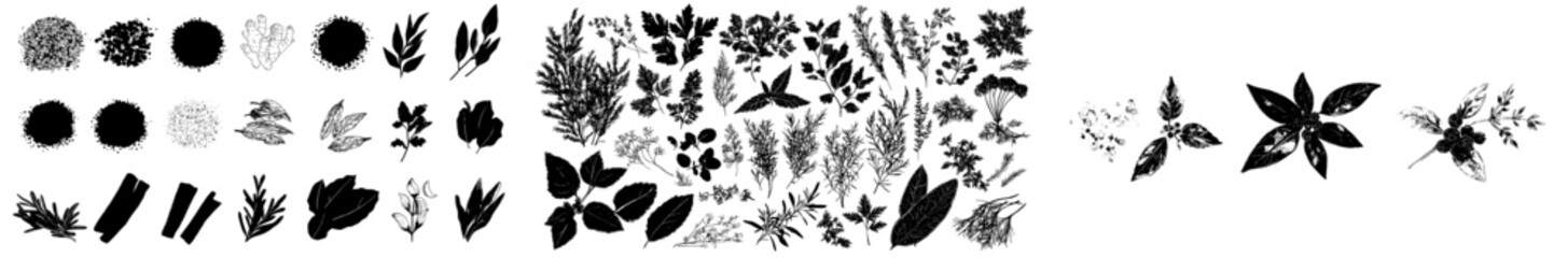 Fototapeta premium The illustration is a modern representation of spices and herbs in the form of a line art drawing using engraving ink