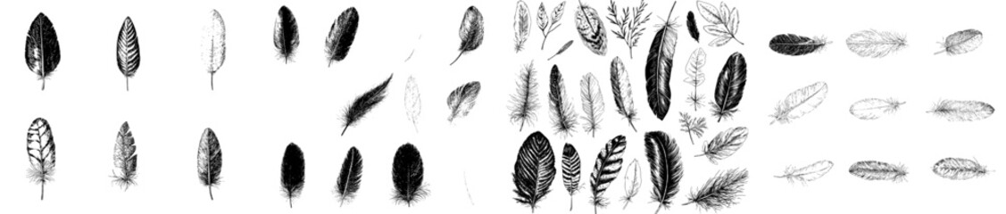 Creating art with feathers, including the soft plumage of birds, is a theme that inspires poets, writers, and artists who use calligraphy quills and other accessories to craft beautiful hand-drawn