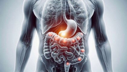 Human stomach cancer in digestive system, gastrointestinal disease, medical concept