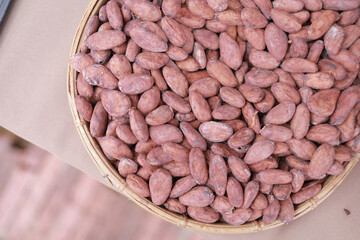 Raw organic cocoa beans are taken in a woven container.