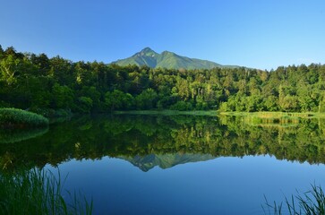 Fototapeta premium 緑に包まれた姫沼・利尻富士