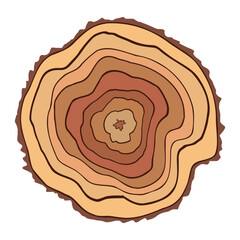 Log cut, tree rings pattern, isolated on white background, vector illustration