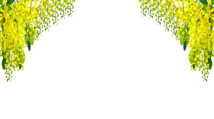 Banner of golden shower or cassia fistula flower and leave in transparent background for decoration of Lao New Year and Thai Songkran	