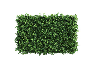 A vector illustration of a rectangular hedge viewed from above, isolated on a transparent background, ideal for landscaping, gardening, and nature-related designs.