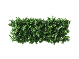 Obraz premium A vector illustration of a rectangular hedge viewed from above, isolated on a transparent background, ideal for landscaping, gardening, and nature-related designs.