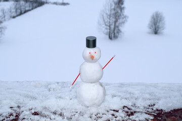 A small snowman made from scrap materials.