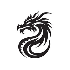 vector silhouette of a dragon on white