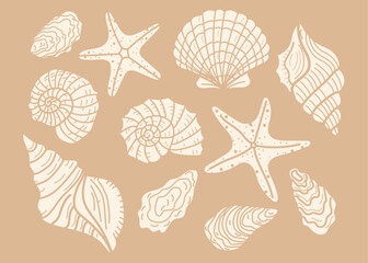 Set of hand drawn seashells. Summer vacation design elements for trendy prints, label, menu cover. Tropical beach shells. Vector flat illustration.