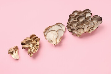 Fresh oyster mushrooms on pink background
