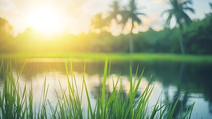 Obraz premium Serene Sunset Landscape Green Grass by Calm Water with Palm Trees