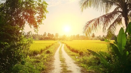 Fototapeta premium Serene Sunset Over Golden Rice Paddy Field with Dirt Road