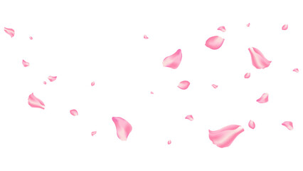rose and sakura flying petal romantic background vector © nur