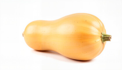 Butternut squash elegantly displayed on white background, fresh produce