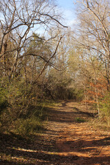 Obraz premium Hiking Trail in Rural East TX along El Camino Real Trail