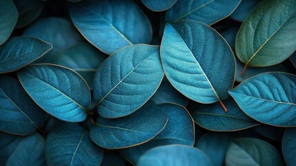 Obraz premium Teal leaves background nature botanical texture