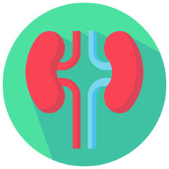 kidney vector round flat icon