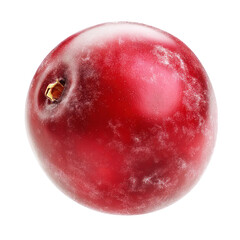 Obraz premium Cranberry fruit isolated on white or transparent background