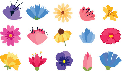 Colorful flowers