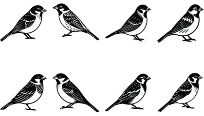 Sparrow Vector Shilhouette Bundle Set 