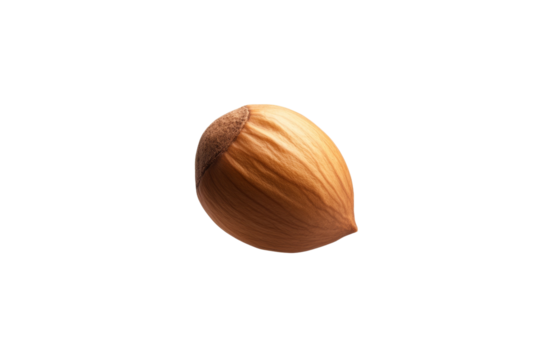 Nut is shown on a white background, isolated