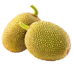 Jackfruit fruit isolated on white or transparent background