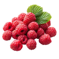 Raspberry isolated on white or transparent background