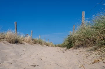 Photo sur Plexiglas Path through the dunes with fence and beach grass on the North Sea coast