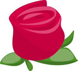 Rose Flower