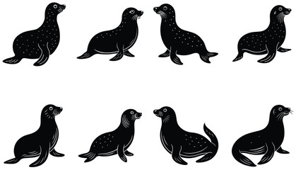 Seal Animal Vector Shilhouette Bundle Set 