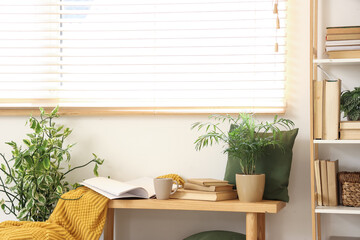 Bookcase and bench with books, cup of tea, plaid and houseplants in interior of living room