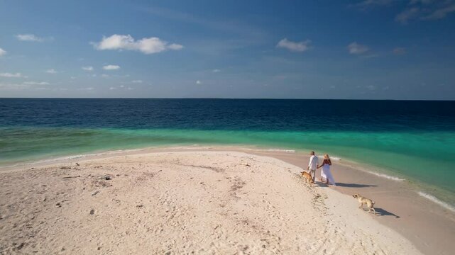 Aerial view Idyllic beach scene couple man and woman walking two loose dogs, along secluded caribbean beach island on a sunny day with turquoise blue water, Los Roques Venezuela