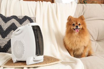 Cute Pomeranian dog with electric heater on sofa at home