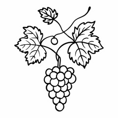 Fototapeta premium Grape Vine Line Art Illustration Black and White Design
