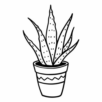 recommend clip art: Aloe Vera Outline in Pot  Illustration of Potted Succulent Plant