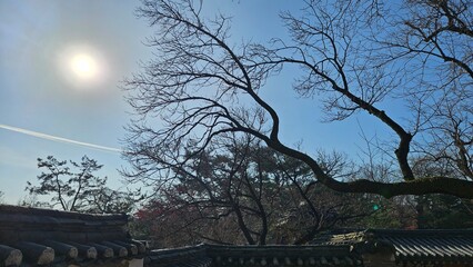 Korean palace beautiful and quiet scenery