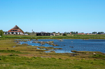 Obraz premium Parc national Duinen van Texel, mer des Wadden, îles de la Frise, Pays-Bas