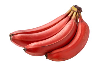 Red bananas isolated on transparent background