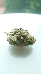 Cannabis Bud for Closeup, White Background.