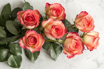 Fototapeta premium For design purposes, a top shot of a rose separated from the background. Generative Ai