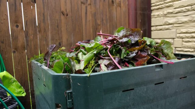 Moscow obl.,Russia,09.12.2021. An open container for compost with peels, fruit and vegetable trimmings in the suburban area. Organic waste in a garden composter. Eco-friendly gardening, eco-friendly