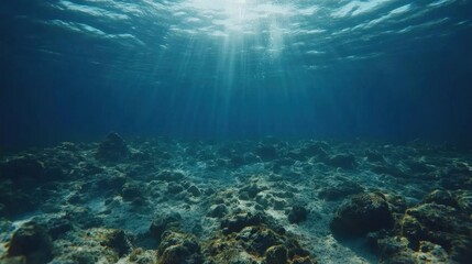 Obraz premium Ocean floor seabed underwater seascape scene