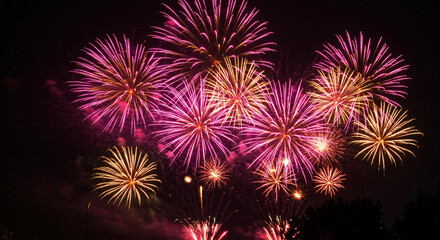Spectacular Pink and Gold Fireworks Display at Night Celebration