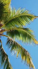 Green palm fronds against a clear blue sky, showcasing tropical foliage and summer vibes, symbolizing vacation, paradise, and relaxation