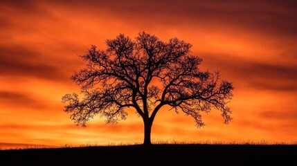 Obraz premium A tree with a glowing outline appearing as a silhouette against a fiery orange-red sky