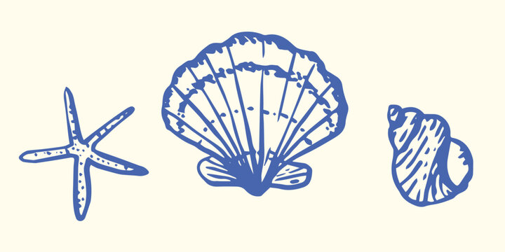 Set of Hand drawn ink vector seashell illustration. Conceptual, naive marine sketch.  Element for poster, social media, banners, invitation. Trendy seafood menu template.