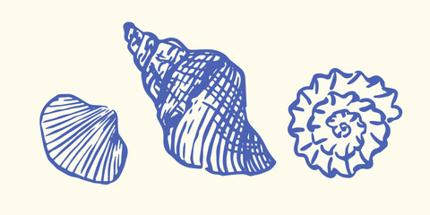 Set of Hand drawn ink vector seashell illustration. Conceptual, naive marine sketch.  Element for poster, social media, banners, invitation. Trendy seafood menu template.