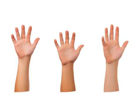 Isolated Transparent Background Photo of Three Human Hands and Arms Showing Skin Fingers and Body Reaching Up Representing Gesture with Transparent Background