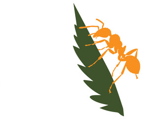 cute ant vector with illustration