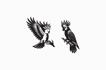 A Cockatoo bird vector silhouette black and white image made by adobe illustrator. eps