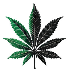 cannabis leaf vector illustration